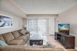 Pinnacle 406